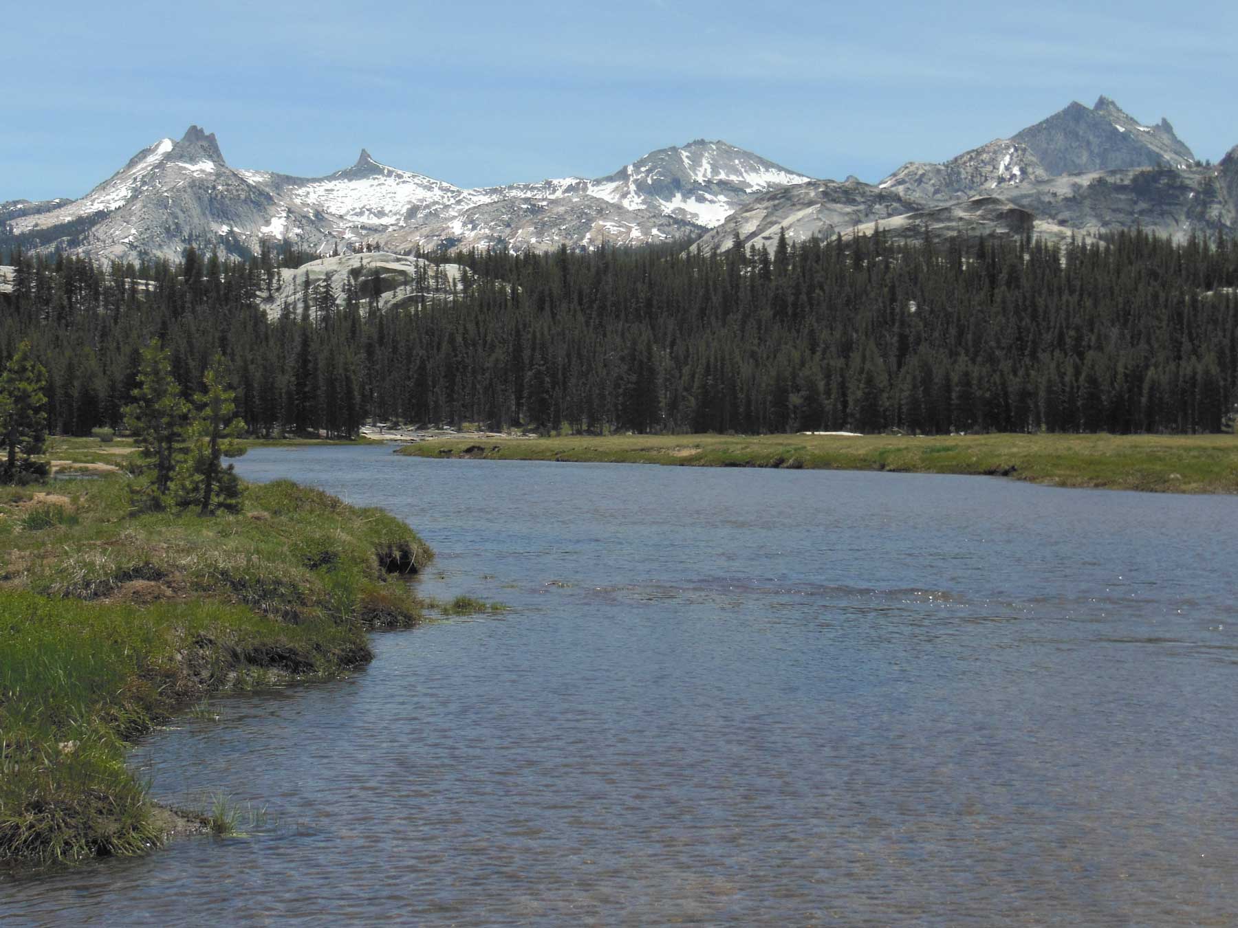 View from Tuolumne Meadows
