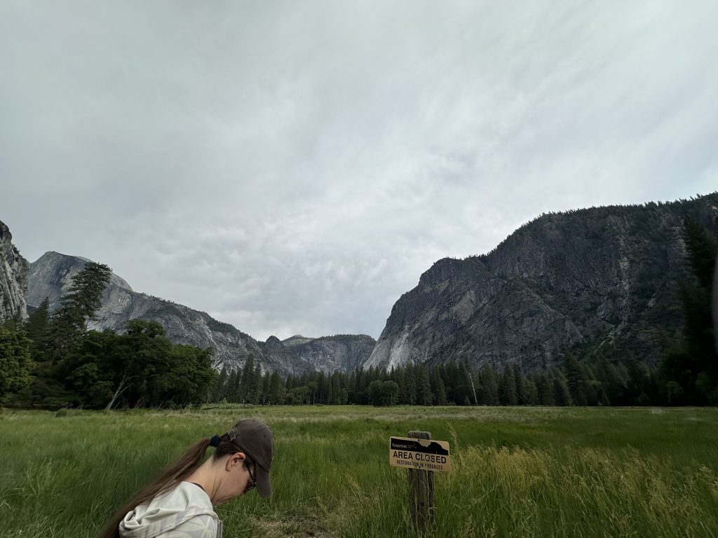 Nature journaler at the edge of Ahwahnee Meadow