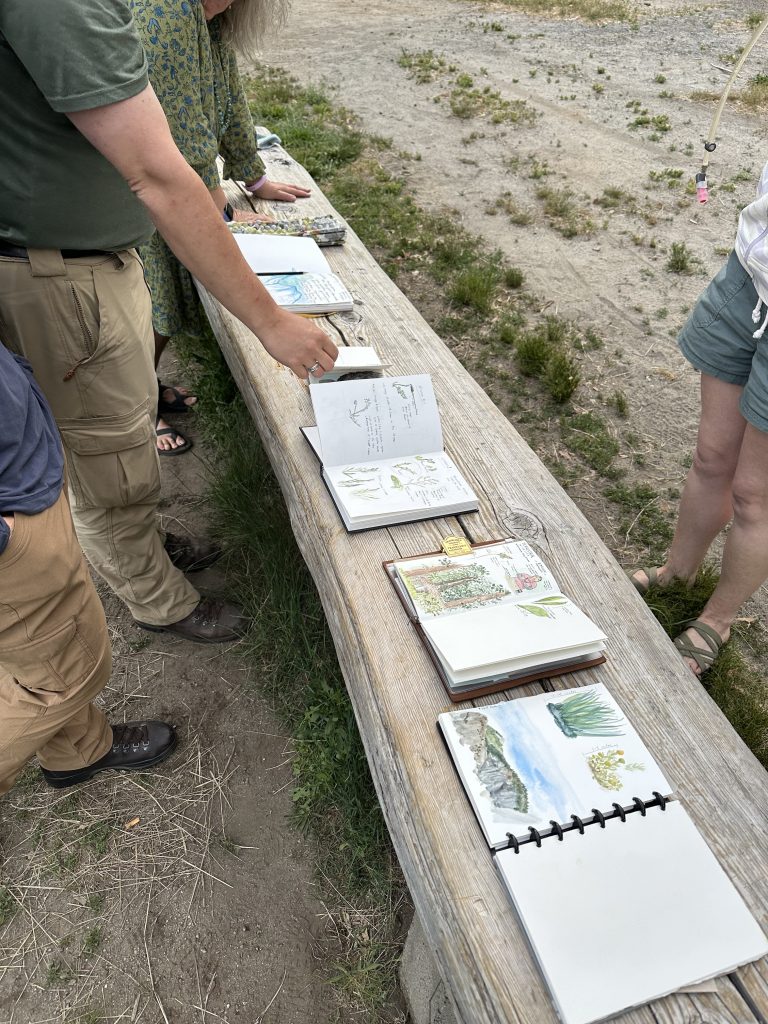 Nature Journals on a bench