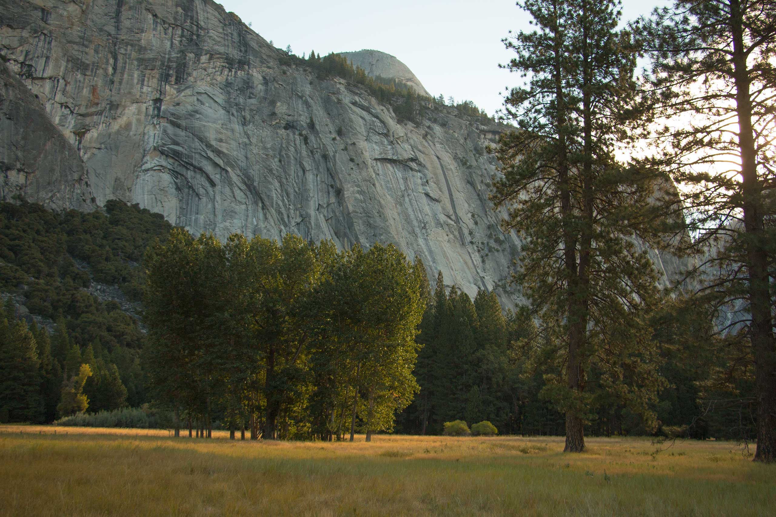 Ahwahnee Meadow