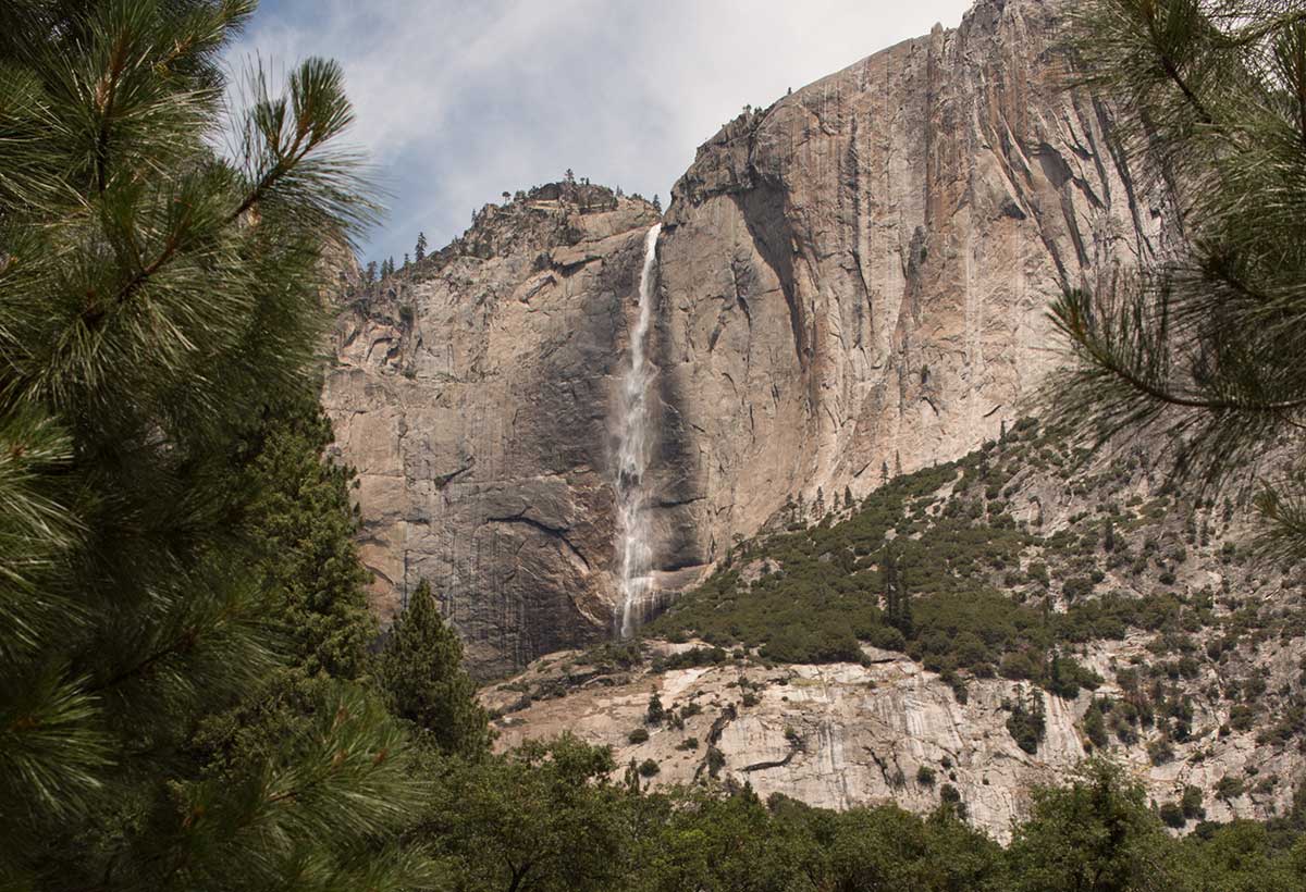 Upper Yosemite Falls from Cooks Meadow