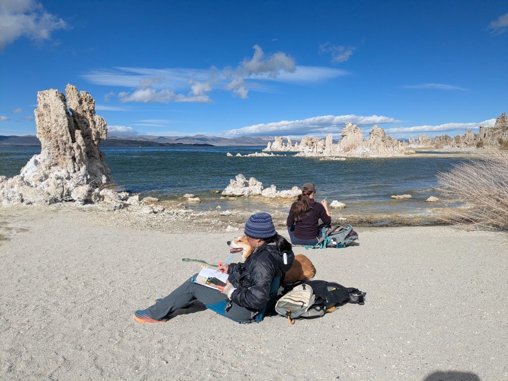 nature journalers at mono lake